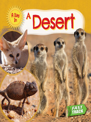 cover image of A Desert